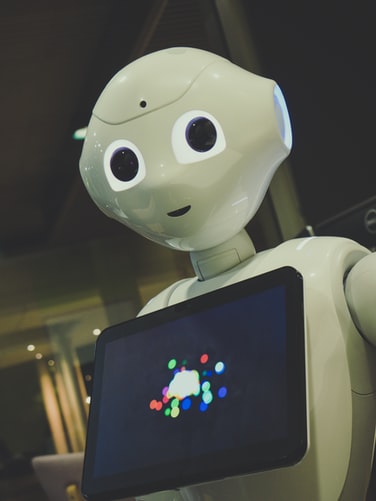 Pepper-humanoid-2