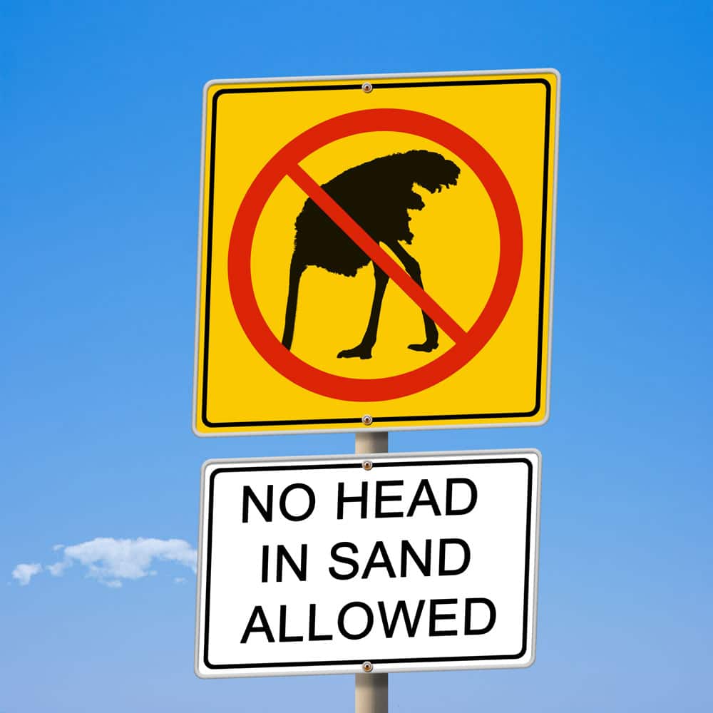 head-in-sand-large